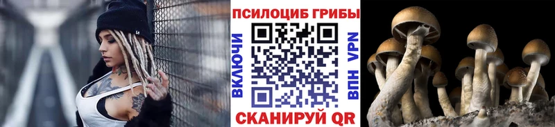 Галлюциногенные грибы GOLDEN TEACHER Плёс